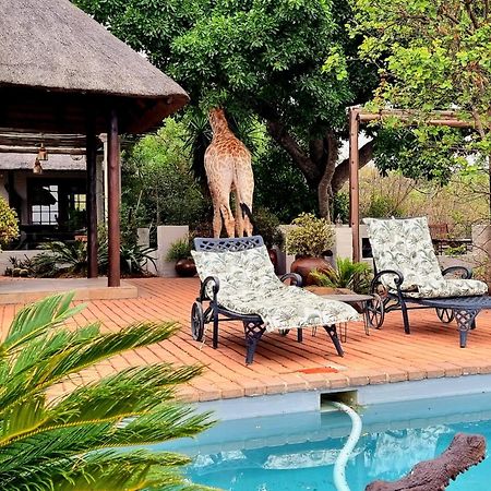 Graceland Eco Retreat Magoebaskloof Ngoại thất bức ảnh
