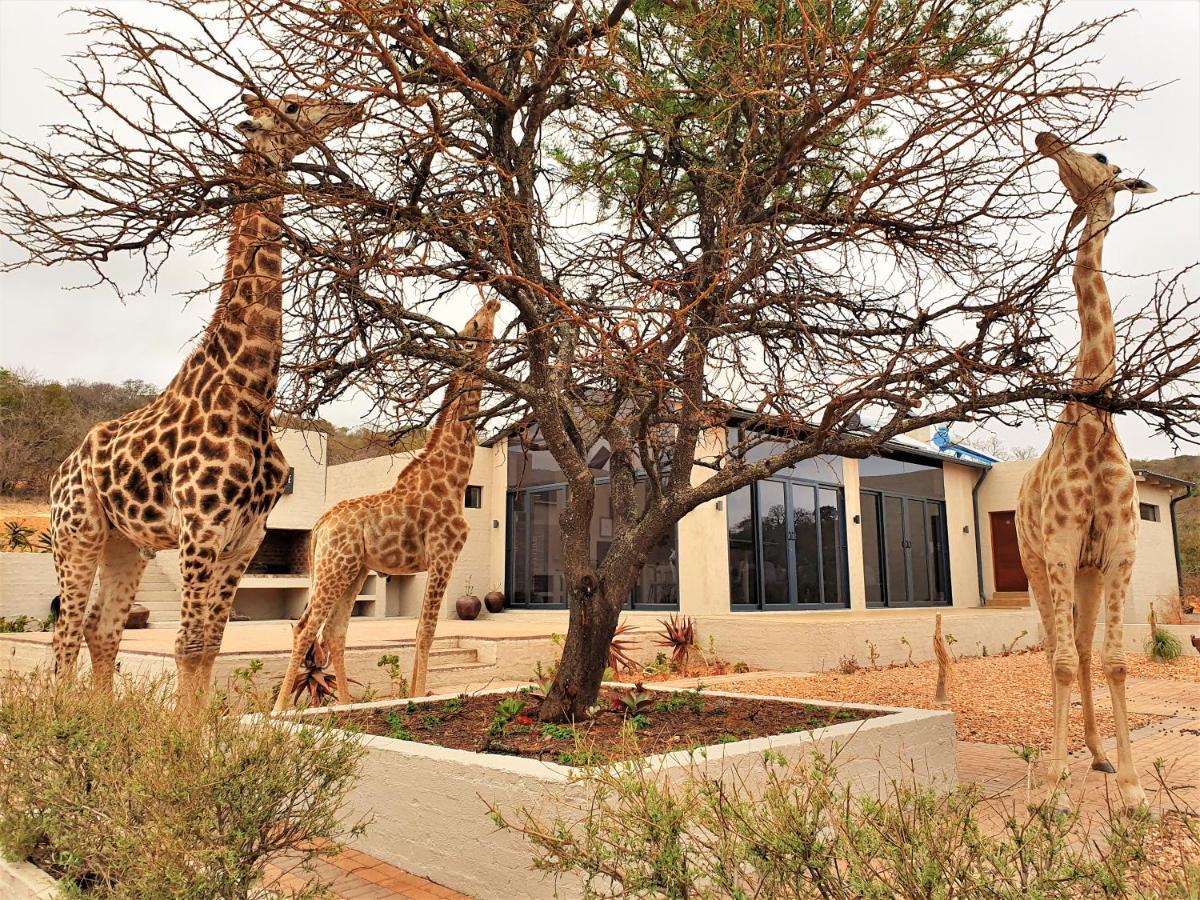 Graceland Eco Retreat Magoebaskloof Ngoại thất bức ảnh