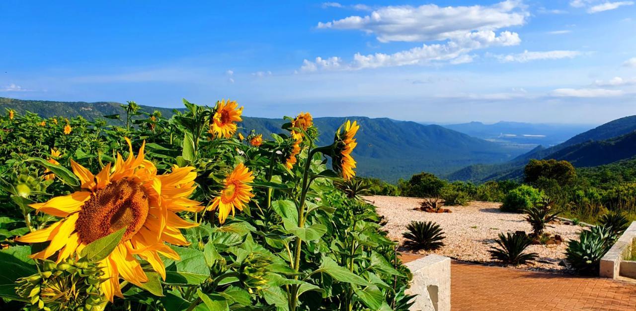 Graceland Eco Retreat Magoebaskloof Ngoại thất bức ảnh