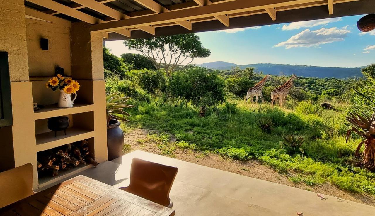 Graceland Eco Retreat Magoebaskloof Ngoại thất bức ảnh