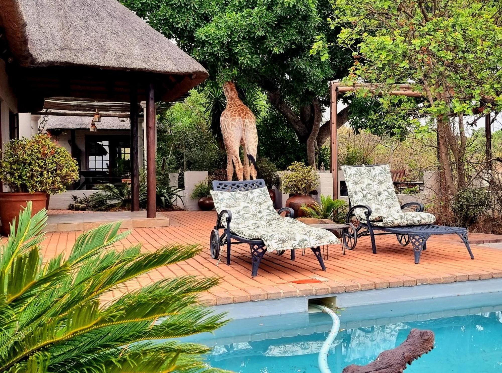 Graceland Eco Retreat Magoebaskloof Ngoại thất bức ảnh