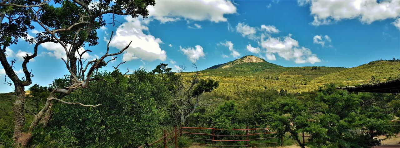 Graceland Eco Retreat Magoebaskloof Ngoại thất bức ảnh