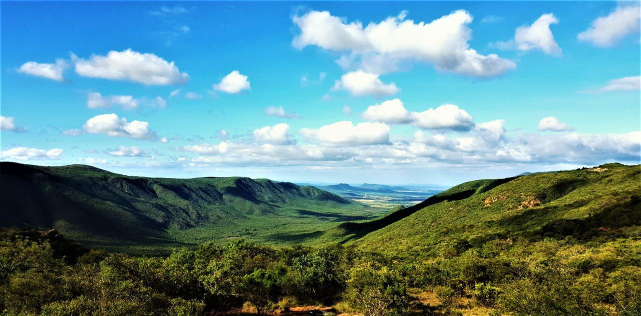 Graceland Eco Retreat Magoebaskloof Ngoại thất bức ảnh