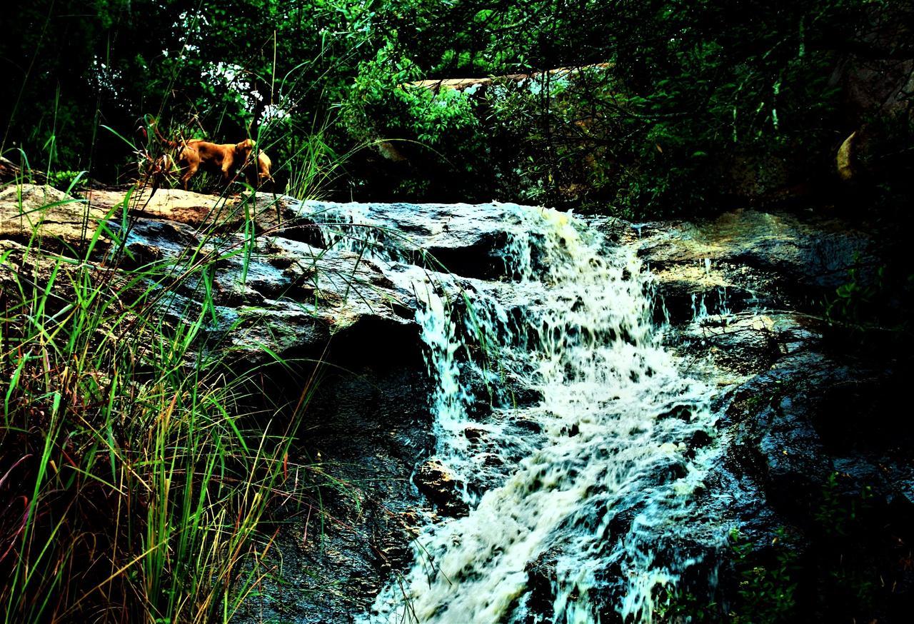 Graceland Eco Retreat Magoebaskloof Ngoại thất bức ảnh